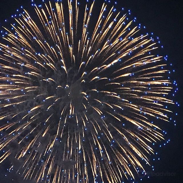 橫須賀開國祭花火大會 | 橫須賀市