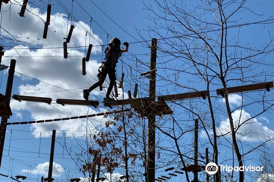 Boundless Adventures Zipline and Aerial Park