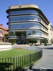 Municipal Library of Mostoles (Central)