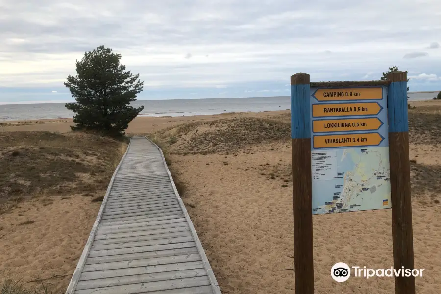 Kalajoki Sand Dunes