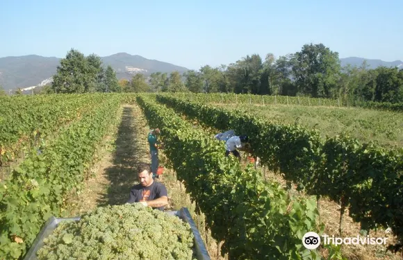 卡拉瓦吉斯德拉海濱