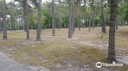 Kriegsgräeberstäette Waldfriedhof Halbe