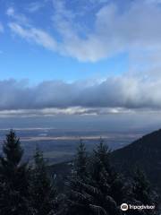 Mont Sainte-Odile