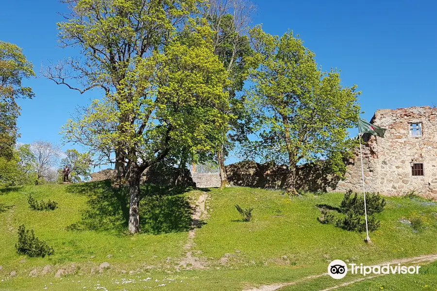 Aizpute Castle