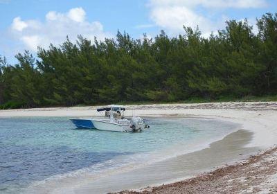 Great Abaco