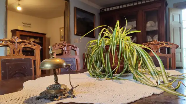 鄰近安東尼奧·馬查多之家博物館的酒店