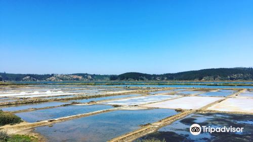 Salinas de Cahuil