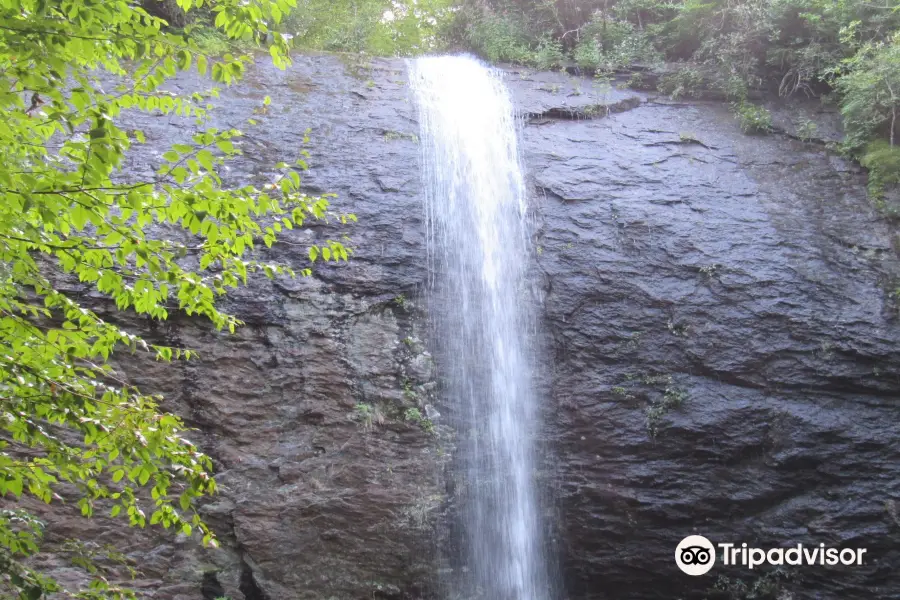 Douglas Falls