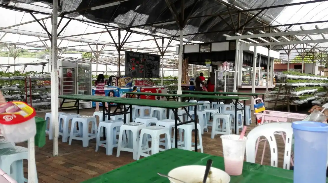 Отели рядом с достопримечательностью «Taman Agro Al-Mashoor»