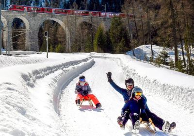 Bergün Filisur Tourism -Sled Track