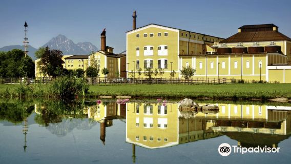 ซาลซ์บูร์ก ออสเตรีย + พระราชวังและสวนมิราเบลล์ + บ้านเกิดของโมสาร์ท + เมืองเก่าซาลซ์บูร์ก