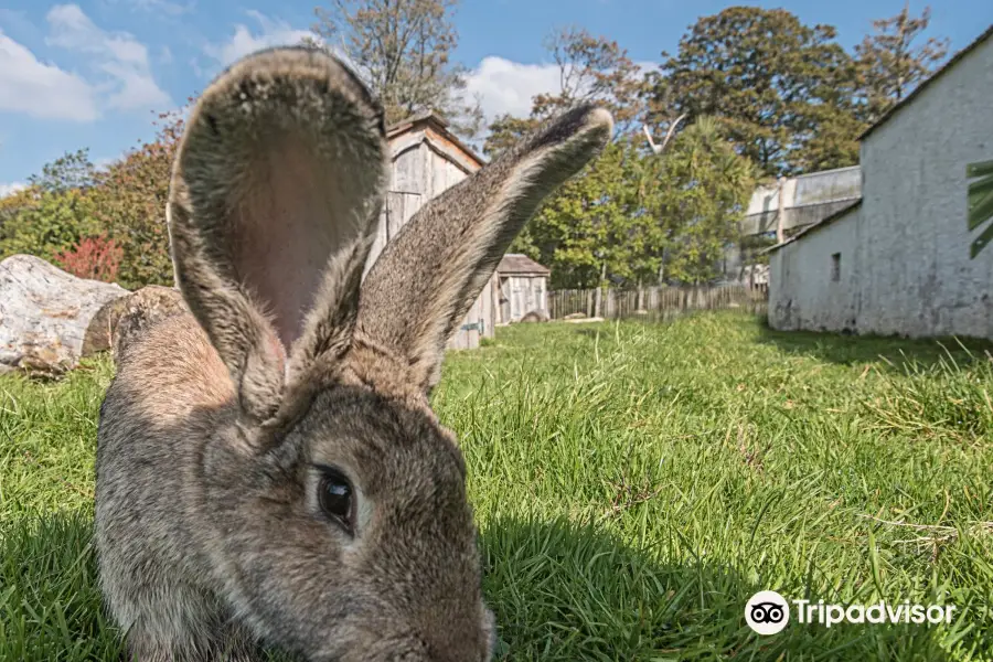 Manor Wildlife Park