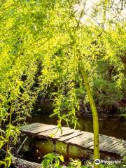 Arboretum Trostyanets