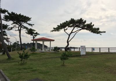 Hayama Park
