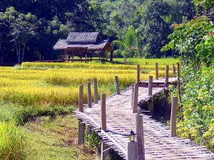 Kho Ku So Bamboo Bridge