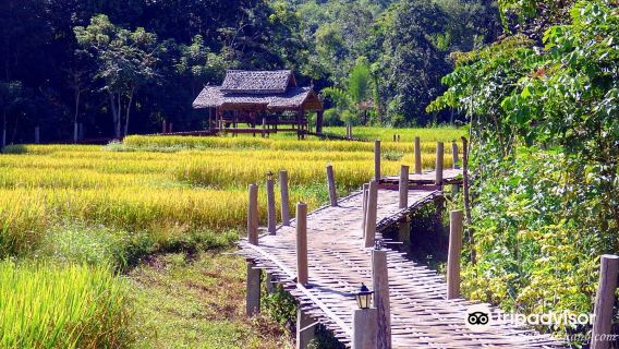 Kho Ku So Bamboo Bridge
