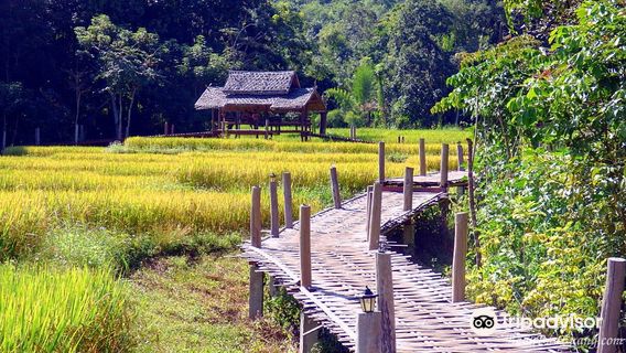 สะพานไม้ไผ่โขกู้โส่