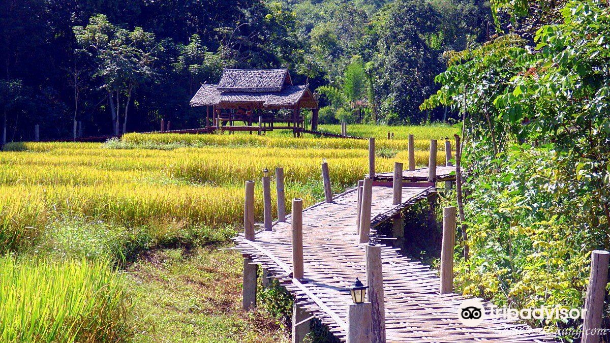Kho Ku So Bamboo Bridge