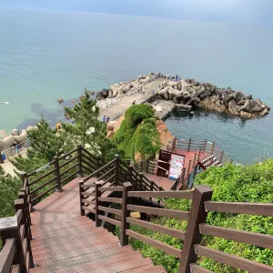 하조대