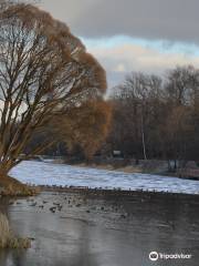 Jardin botanique de Moscou