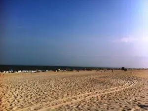 Assateague Beach