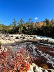 Lower Falls