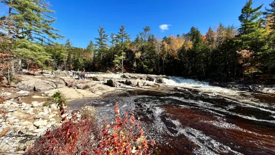 Lower Falls