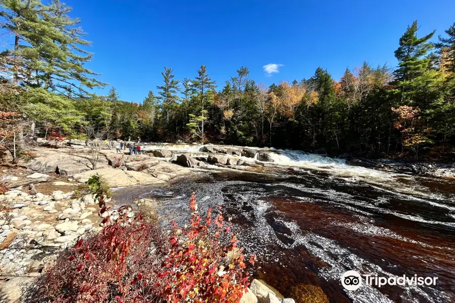 Lower Falls