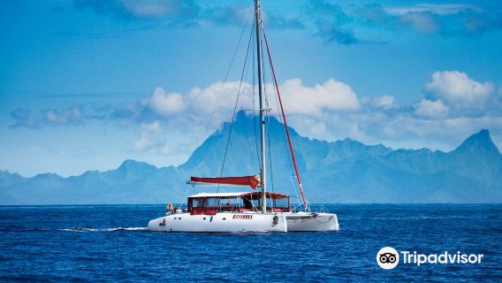 POE CHARTER TAHITI
