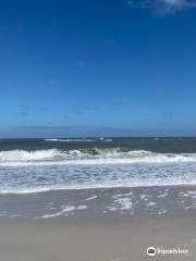 Mickler's Landing Beach