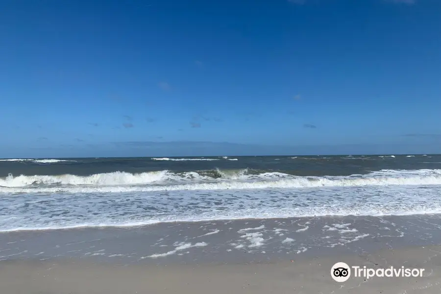 Mickler's Landing Beach