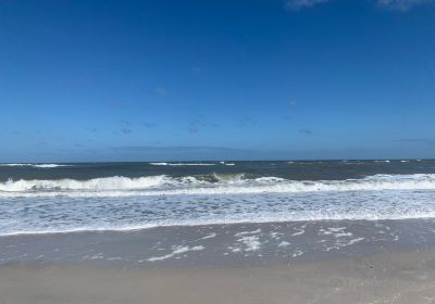 Mickler's Landing Beach