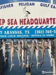 Deep Sea Headquarters