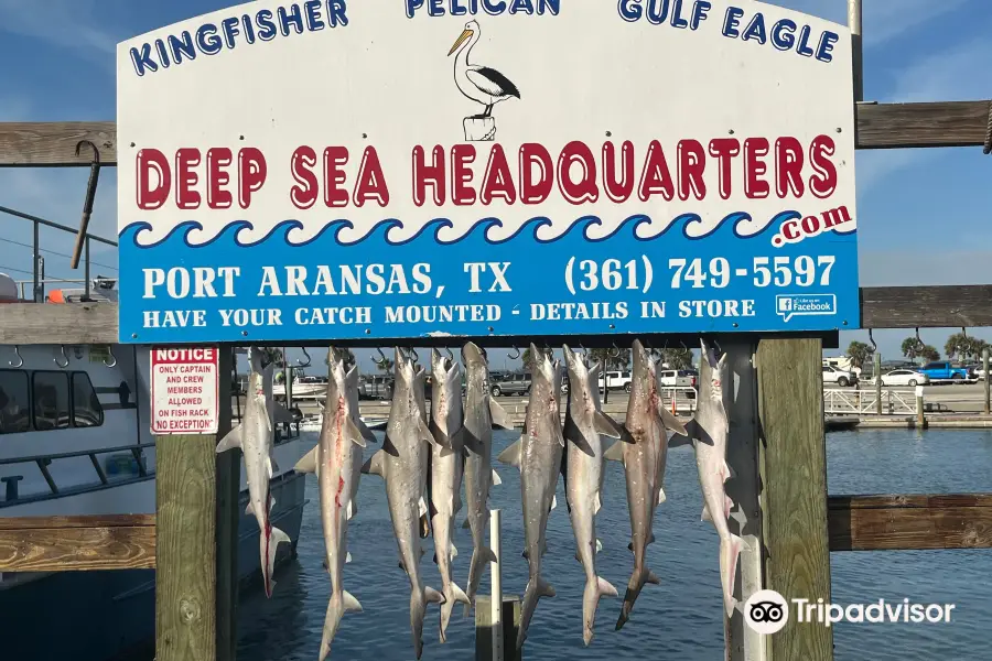 Deep Sea Headquarters