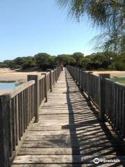 Rio San Pedro beach