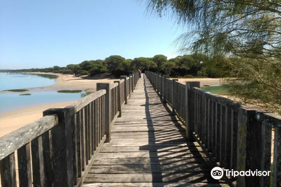 Rio San Pedro beach