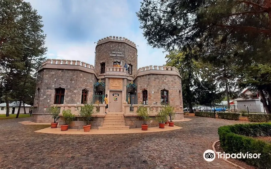 Bogdan Petriceicu Hasdeu Memorial Museum