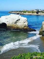 Plage d'État de Natural Bridges