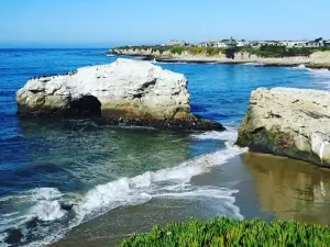 Natural Bridges State Beach