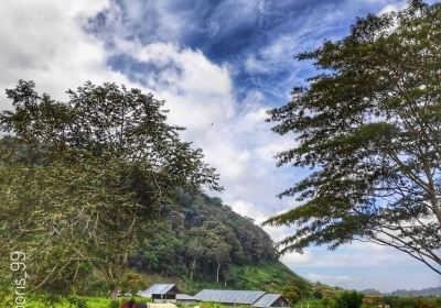 Kabupaten Aceh Tengah