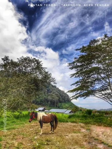 Central Aceh Regency