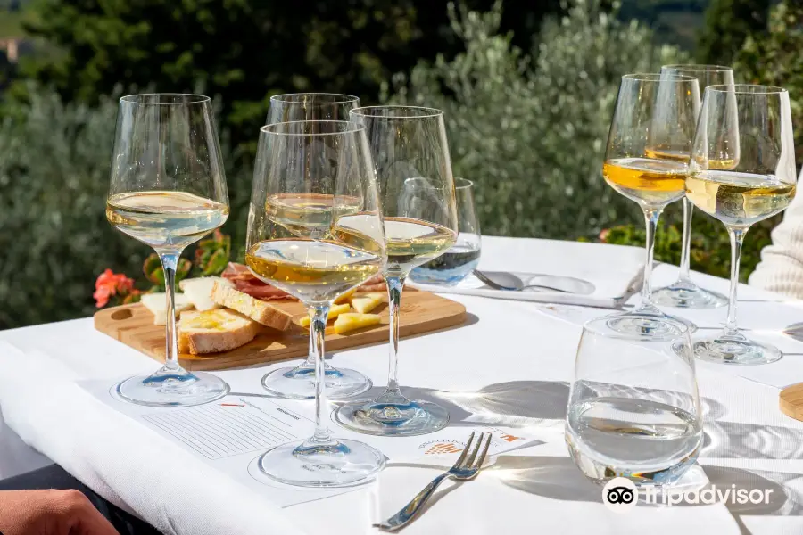 Vernaccia di San Gimignano Wine Experience - La Rocca