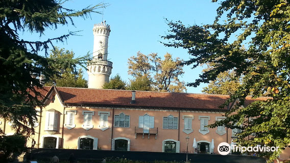 Varese