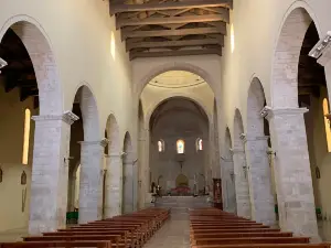 Cathedral of Saint Mary of the Assumption and Saint Canius Bishop