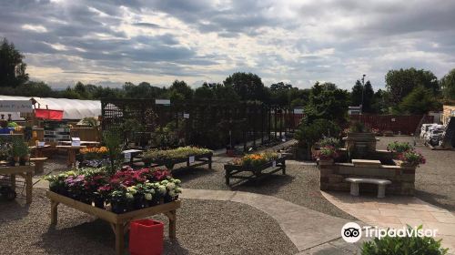 Paddock Farm Nursery & Water Gardens