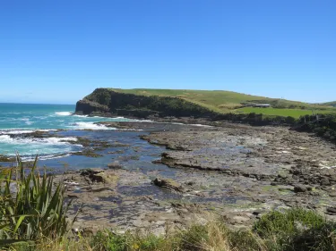 Petrified Forest Curio Bay