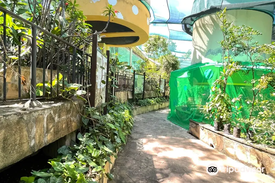 Mombasa Butterfly House