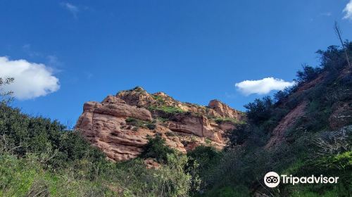 Whiting Ranch Wilderness Park