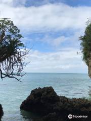 Ishigaki Island Ibaruma Sabichi Cave