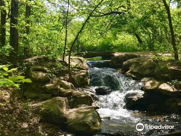 Chickasaw National Recreation Area